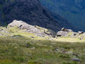 Rear view of man sitting on mountain