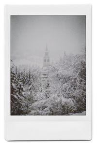 Snow covered trees and buildings against sky