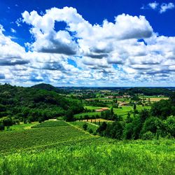 Scenic view of agricultural field against sky