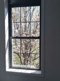 View of window on glass window