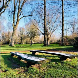 Park bench on field against sky