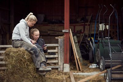 Young woman showing mobile phone to sister sitting on hay bale