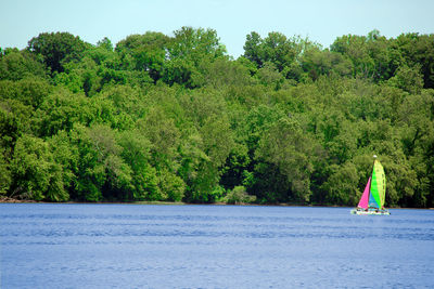 Man in pond