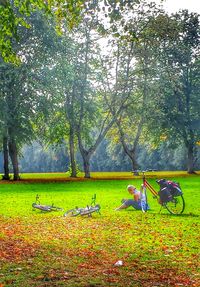 Trees on grassy field in park