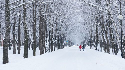 winter