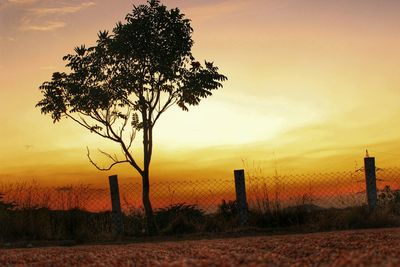 Silhouette of fence on field at sunset