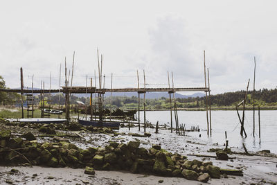 Sailboats moored in river against sky