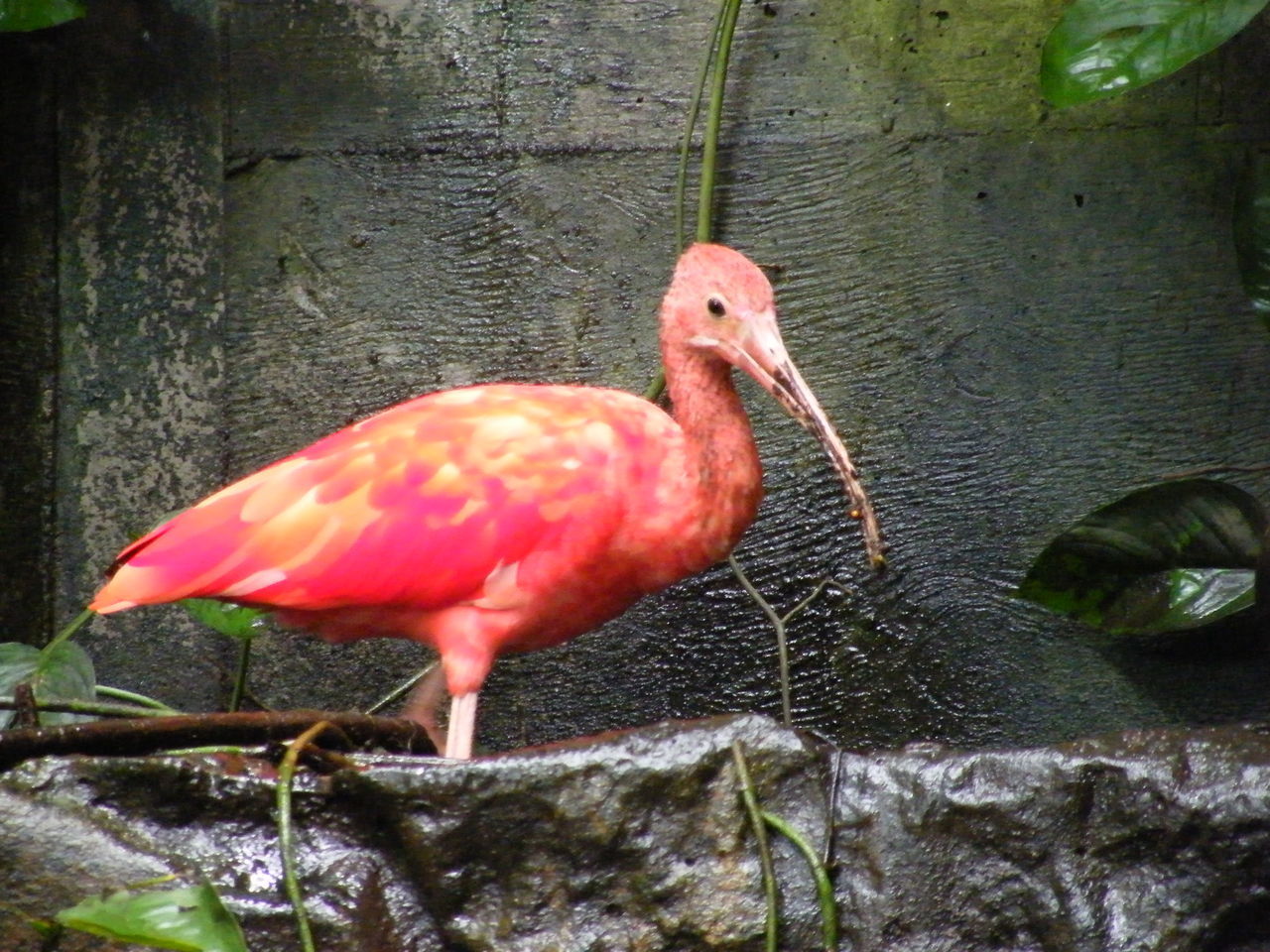 BIRD PERCHING ON A LAKE