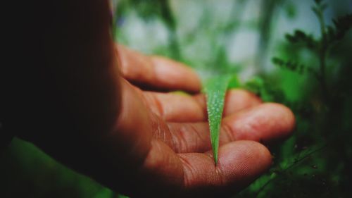 Close-up of hand holding cigarette