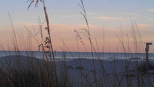 Scenic view of sea at sunset