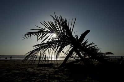 Silhouette palm tree by sea against clear sky