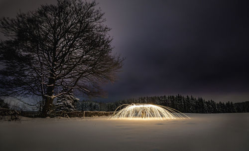 Bare trees against sky during winter at night