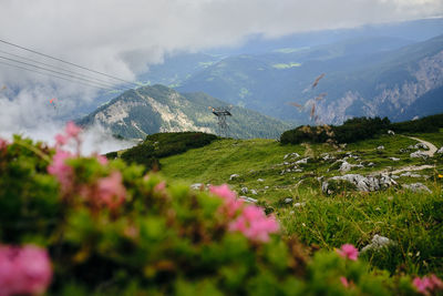 Scenic view of landscape against sky