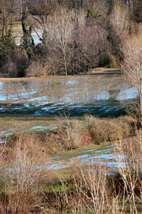 Scenic view of lake