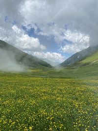 Scenic view of grassy field against cloudy sky