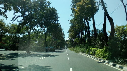 Street amidst trees against sky in city