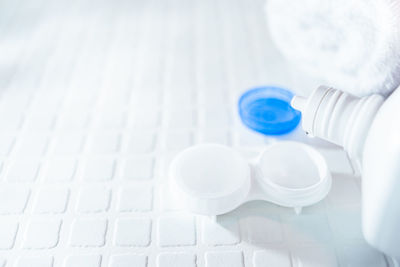 High angle view of blue flowers on table
