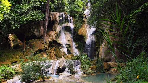 Scenic view of waterfall in forest