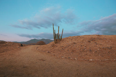 Scenic view of desert land against sky