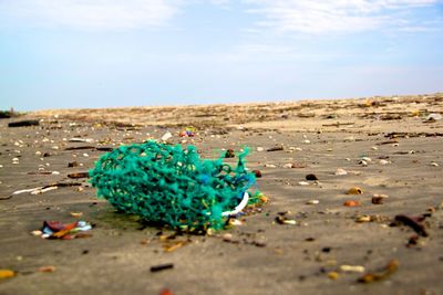 Polluted beach covered by washed up garbage