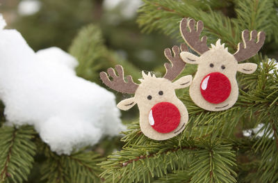 Close-up of christmas decoration hanging on tree