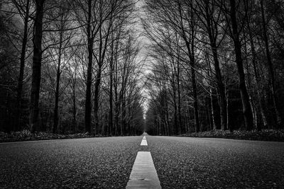 Road amidst bare trees in forest