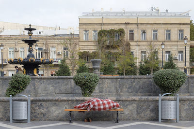 Potted plants outside building