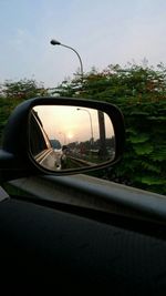 Reflection of trees in side-view mirror