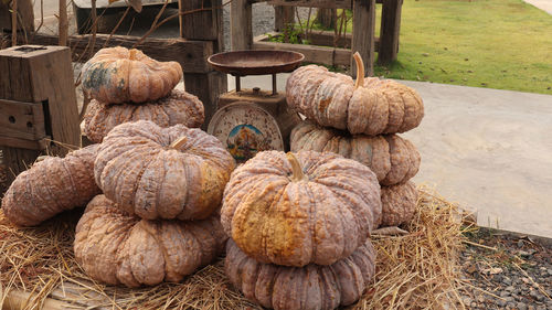 Stack of pumpkins for sale