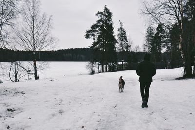 Rear view of dog walking on snow covered landscape