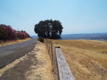 Road amidst trees against clear sky