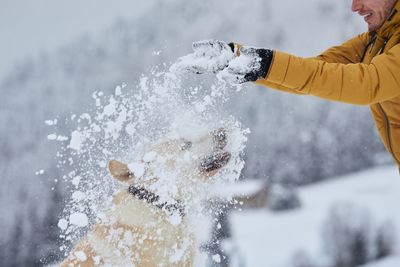 Midsection of man throwing snow on dog outdoors