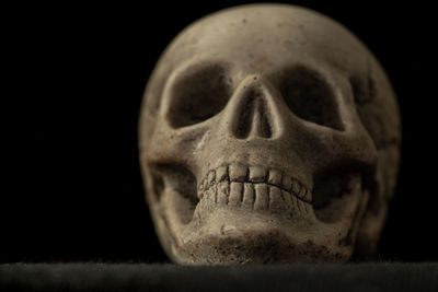 Close-up of human skull