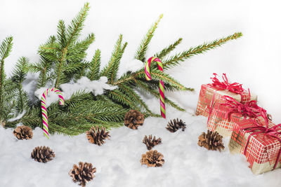 High angle view of christmas tree