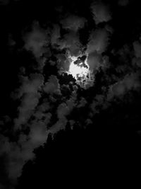 Low angle view of silhouette trees against sky at night