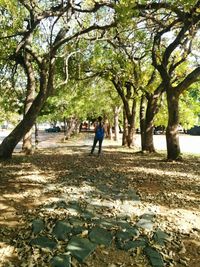 People walking on footpath