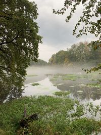 Scenic view of lake against sky