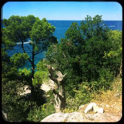 Scenic view of calm sea against clear sky