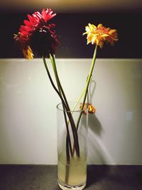 Close-up of yellow flowers in vase