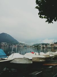 Boats moored on lakeshore