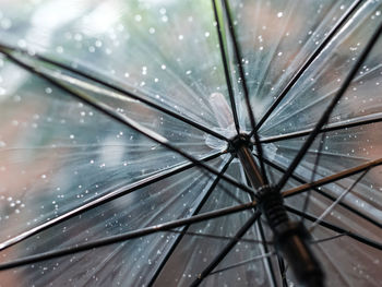 Full frame shot of umbrella