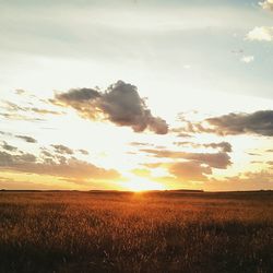 Scenic view of landscape at sunset