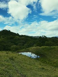 Scenic view of field against sky