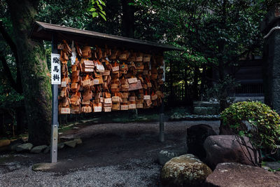 Stack of logs in forest