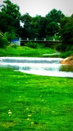 Scenic view of lake amidst trees