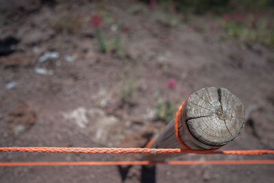 Close-up of rusty chain on field against wall