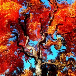 Full frame shot of tree trunk