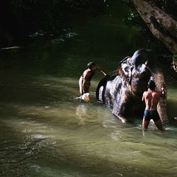 People swimming in lake