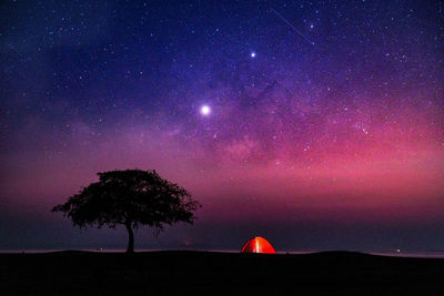 Silhouette of trees against sky at night