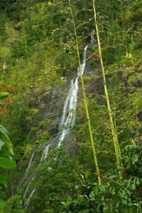River flowing through rocks